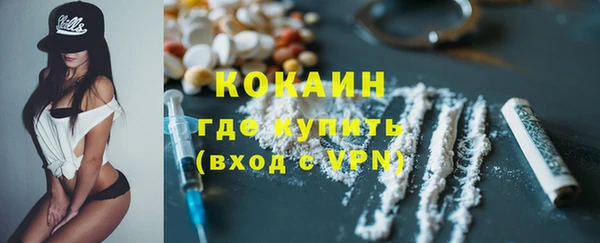 прущие грибы Бронницы