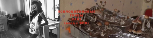 круглые Михайловск