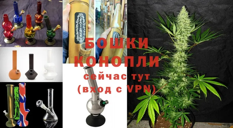 Шишки марихуана Ganja  Магадан 